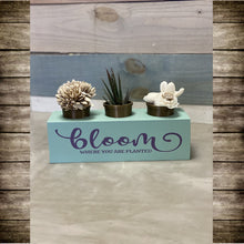 Hammer@Home - 3 Pot Planter Box