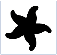 Starfish